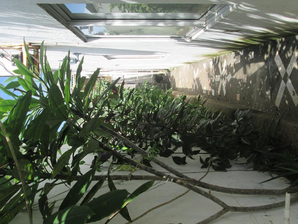 Hostal Poseidon Del Mar San Andrés Eksteriør bilde